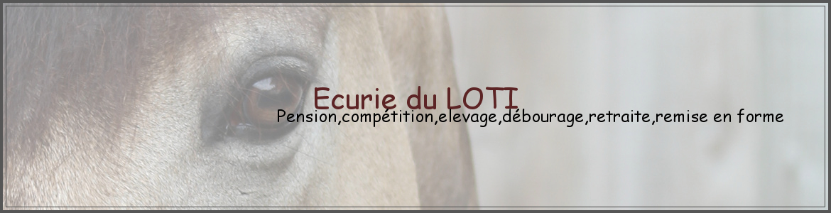 Ecurie du LOTI